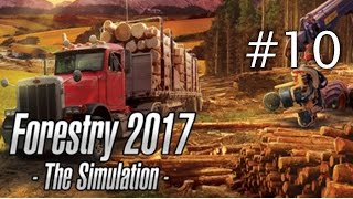 Forstwirtschaft 2017  Die Simulation  Der erste Auftrag wird das was 10 [upl. by Lenaj]