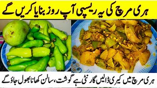 Hari Mirch Masala Masaley Dar fry Mirchain  Tali hoi Hari Mirchain Keri Hari mirch fry Recipe [upl. by Ardnasella]