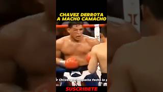 Chavez VS Macho Camacho 💀🥊 boxing peleadebox [upl. by Underwood143]