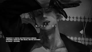 metro boomin big sean  trance x i know xxtristanxo remix  slowed  reverb [upl. by Atinreb]