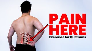 QL Strains  How to do exercises for a quadratus lumborum strain and low back pain [upl. by Eedahs815]