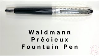 Waldmann Précieux Black Diamond Fountain Pen [upl. by Kinemod]