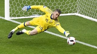 Best Goalkeeper Saves ● Euro 2016 [upl. by Elbart]