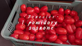 Przecier pomidorowy domowej roboty passata i suszone pomidory w oliwie 🍅🍅🍅 [upl. by Evalyn]