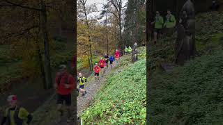 2023 Trail du Beaujolais Nouveau 😊Vibrez  Ciney Chevetogne trailrunning [upl. by Pestana]