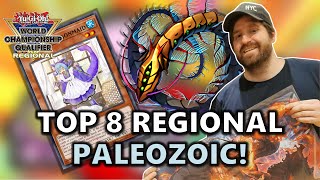 Top 8 Antwerpen Belgium Regional Paleozoic Trap Deck Profile Ft Youri Lansman AGAIN [upl. by Damita]