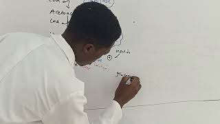 METABOLISM  CHOLESTEROL SYNTHESIS ✍️💯 [upl. by Hungarian]