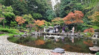 LONDON HOLLAND PARK AUTUMN WALK 2023 5K UHD  KYOTO Garden London  London FALL Colour London [upl. by Minetta]