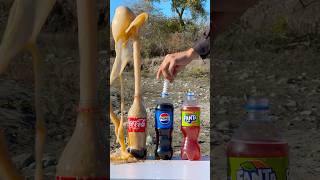 What happens if you mix CocaCola with Mentos 🔥🔥 cokevsmentos experiment mentos [upl. by Auric]