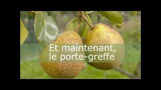 Comment greffer un arbre fruitier [upl. by Orelle940]