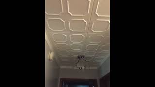 Decorative Foam Ceiling Tiles Glueup Ceiling [upl. by Lakim243]