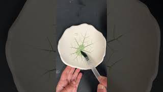 Satisfying pottery process of how I press a leaf into clay to create a leaf dish vuvuceramics art [upl. by Sancha]