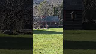 The Glistening Sun on Lake Elmore Vermont landscapes vermont [upl. by Lovett]