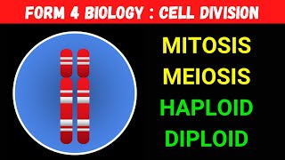 Form 4 Chapter 6 Biology Cell Division  Mitosis Meiosis Haploid Diploid in 10 minutes 1 of 6 [upl. by Neve]