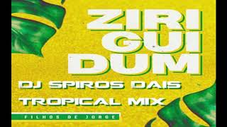 FILHOS DE JORGE  ZIRIGUIDUM Yiri Yiri boum Tropical Mix Dj Spiros Dais [upl. by Ahterahs]