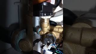 Baxi Duo tec 24 New cartridge noise [upl. by Eisaj]