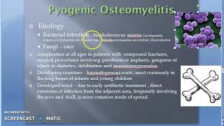 Pathology 825 c Osteomyelitis Infection Of Bone Staph Aureus Amyloidosis [upl. by Donegan]