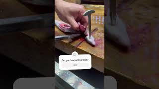 Japanese eel craftsman in training鰻職人修行craftman 捌く fish cooking鰻 捌くcuttingskills [upl. by Halliday524]