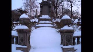 GreenWood Cemetery Winter Brooklyn NYC [upl. by Squires]