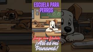 nada de ladrar después de las 7pm memes firulais perros risas comedia [upl. by Nylodnewg]