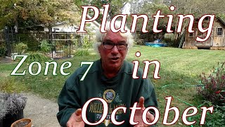 What To Plant in October for Zone 7 [upl. by Pradeep]