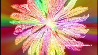 Hand Chakras Activation amp Energizing  Solfeggio 285 Hz Chakra Series [upl. by Allicserp]