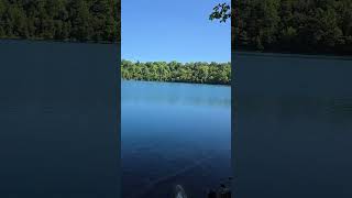 they sure are green greenlake syracuse nature lakes [upl. by Keven]