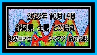 秋期コマセ マダイ？ シマアジ 釣行記録 [upl. by Laetitia]