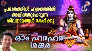 പ്രഭാതത്തിൽ ഹൃദയത്തിൽ അലിഞ്ഞുചേരുന്ന ശിവനാമങ്ങൾ കേൾക്കൂ  Hindu Devotional Songs Shiva Songs [upl. by Kania554]