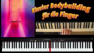 Bodybuilding für die Finger Teil I  Klavier Grundlagen [upl. by Lenwood]