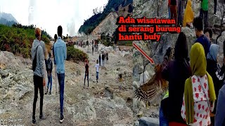 Kawah sikidang dieng banjarnegara special vlog indra ant bird lovers [upl. by Laroc227]