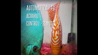 13 Automatizado de Acuario control remoto controlador arduino monitor lcd wifi [upl. by Kcid529]