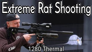 EXTREME RAT SHOOTING with 1280 thermal and an air rifle [upl. by Michigan]