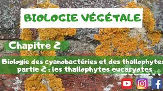 Biologie végétale chapitre 2  Biologie des cyanobactéries et des thallophytes   les thallophytes [upl. by Esnahc862]