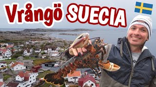 SUECIA 3 🇸🇪 Episodio VIP en VRÅNGÖ 🦞 la isla de Suecia de la que me enamoré 🚣🏻‍♀️❤️ [upl. by Mayberry7]