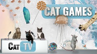 Cat Games  Ultimate Cat TV Compilation Vol 6  1 HOUR 🐱📺🐶🍭🧀🐔🐟🌊🐭🌱 [upl. by Ardath211]