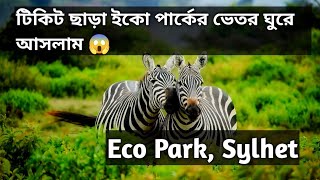 টিকিট ছাড়াই ইকো পার্কে ঢুকে পড়লাম  Eco Park Sylhet [upl. by Euqinaj780]