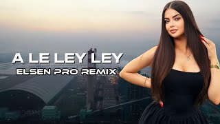 Elsen Pro  A Le Ley Ley Tiktok Remix [upl. by Alurta]