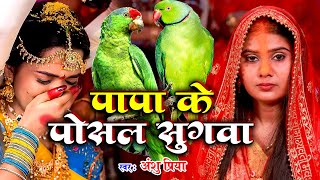 बेटी विवाह गीत  पापा के पोसल सुगवा  Anshu Priya Shadi Vivah Geet  Anshu Priya Beti Vivah Geet [upl. by Gorrono]