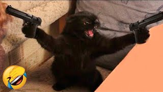 Best Funny Animal Videos Of The 2022 🤣  Funniest Cats And Dogs Videos 😺😍 [upl. by Calia]