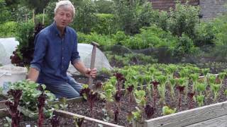 Clearing and replanting beds in the summer fast without digging or forking [upl. by Patricia495]