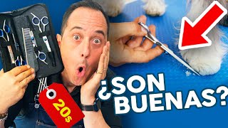 ¡FUNCIONAN😱😱Las TIJERAS más baratas para CORTAR EL PELO a tu perro en casa o en PELUQUERÍA CANINA [upl. by Borlow]