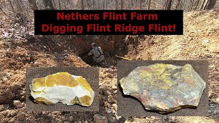 Nethers Flint Farm – Flint Ridge Flint Quarry – Dig Your Own Flint [upl. by Kentiggerma]