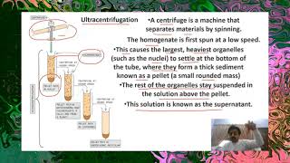 CHAPTER  3  Cell structure and functions  Part 1  Cell Fractionation  Sindh Text Board [upl. by Zantos837]