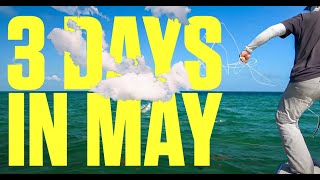 3 Days in May  Fly Fishing for Tarpon [upl. by Scharf]