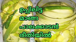 Manga Uppilittathu  മാങ്ങ ഉപ്പിലിട്ടത്  Palakkad Style How to make uppilitta manga in malayalam [upl. by Kelwen]