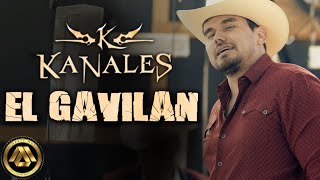 Kanales  El Gavilán Video Oficial [upl. by Omocaig]