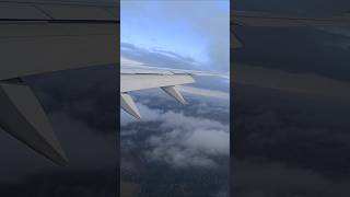 Aeroplane flight status statusvideo airport indai mascow russia airview ytshorts video [upl. by Manuela]