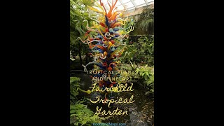 Fairchild Botanical Gardens [upl. by Courtund758]