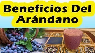 Mira Lo Que Te Pasa Si Comes Arandanos De Forma Regular BENEFICIOS DEL ARANDANO y Sus Propiedades [upl. by Shem]